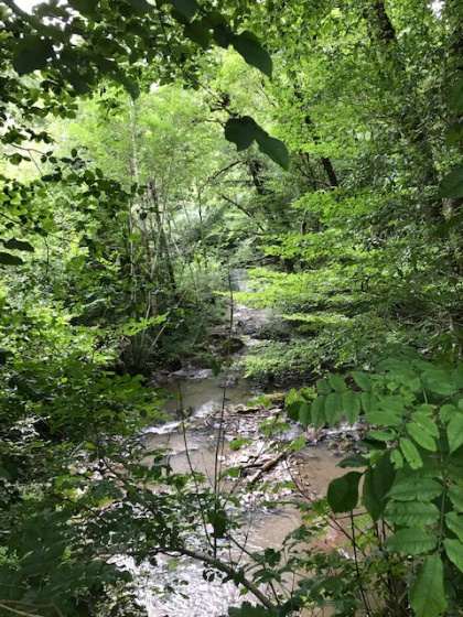 ruisseau du Maumont noir