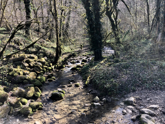 ruisseau du miracle