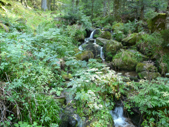 Ruisseau du Ruhlock