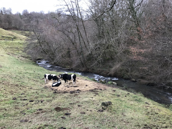Ruisseau du Troh
