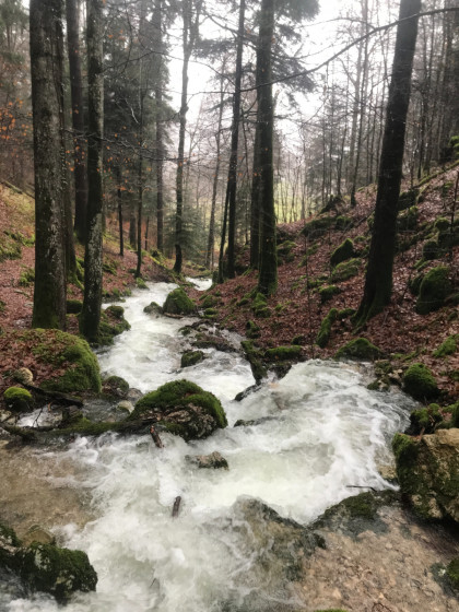 Lac du Brenet via le Mont d\'Orzeires et le Crêt des Alouettes