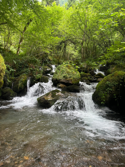 Ruisseau en cascade