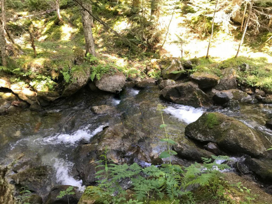 Ruisseau en contrebas