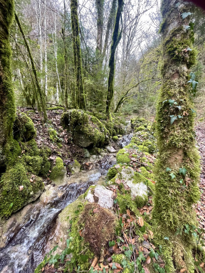 Ruisseau le Bran&ccedil;on