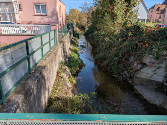 Ruisseau le Lohbach