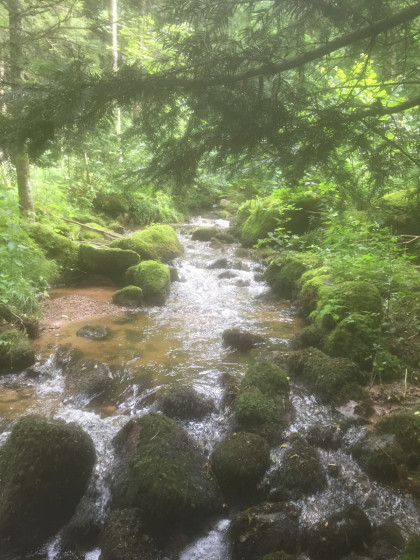 Ruisseau \