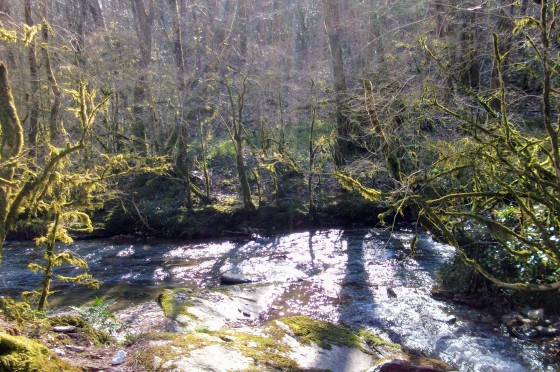 Ruisseau de Lézert