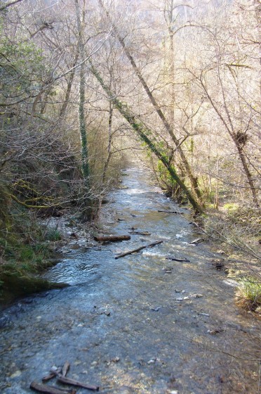 Ruisseau Lézert