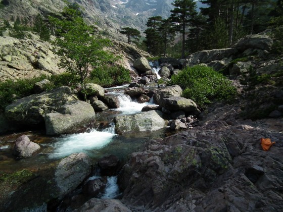Ruisseau pour la baignade