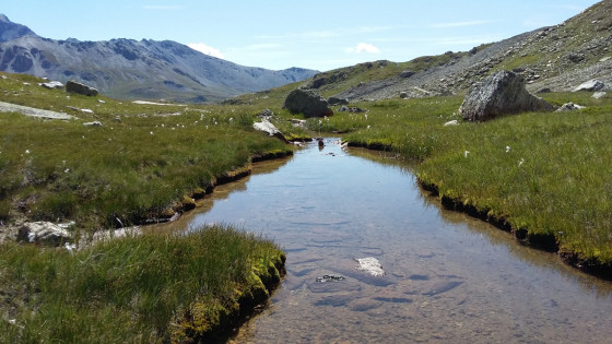 Ruisseau qui s'écoule du torrent des glciers