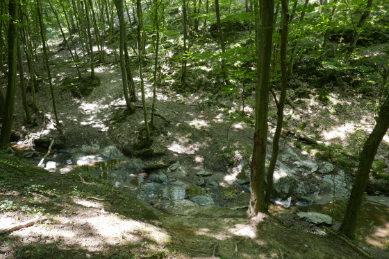 Ruisseau Rolland en été