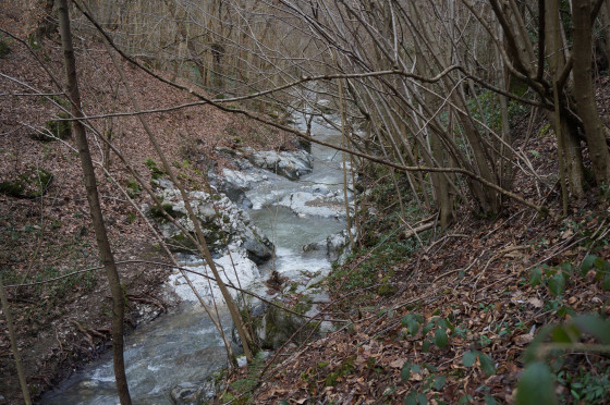 Ruisseau Rolland en hiver