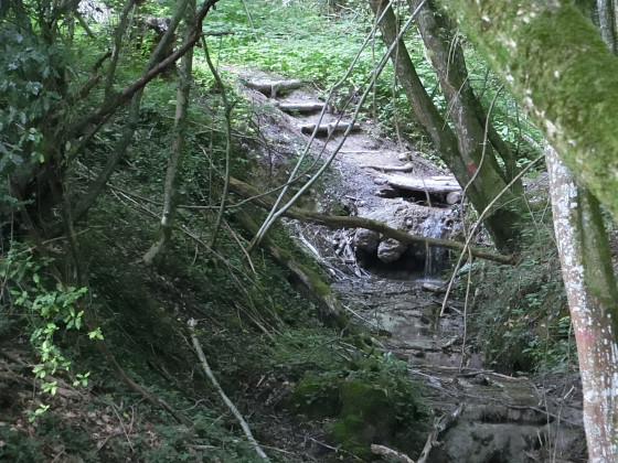 Ruisseau sur le chemin de retour