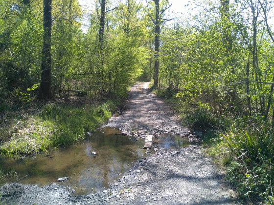 Ruisseau