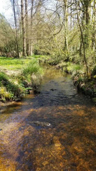 Ruisseau