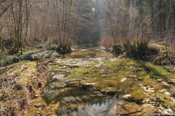 Ruisseau