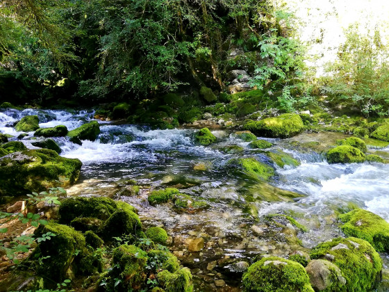 Ruisseau