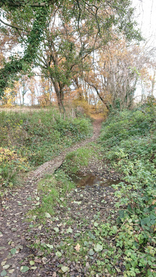Ruisseau