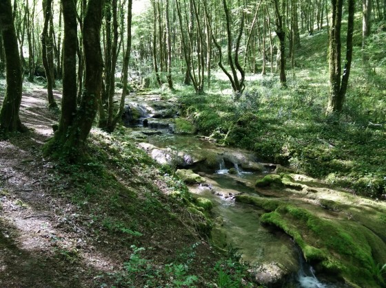 Ruisseau