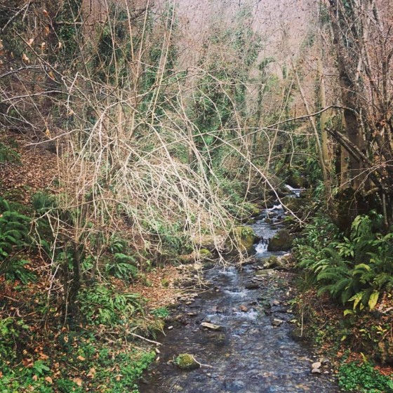 Ruisseau