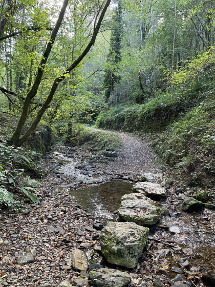 Ruisseau