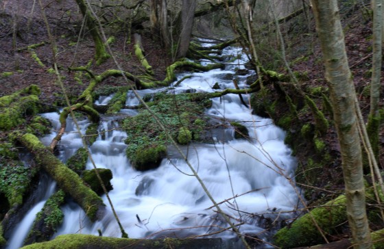 Ruisseau