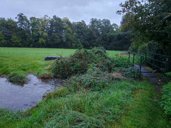 Ruisseau