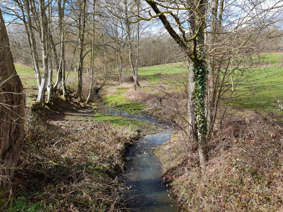 Ruisseau