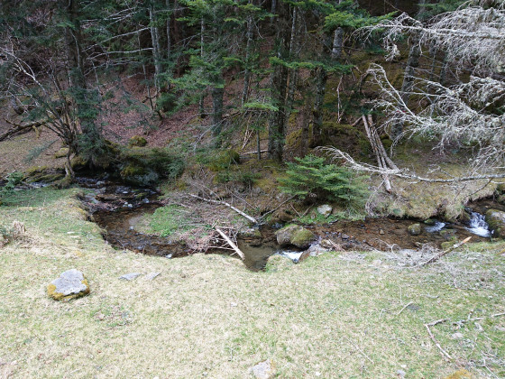 Ruisseau