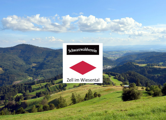 Pfaffenberg P1 Pfaffenberg-Zimmerplatz-Oberblauen-Käserntanne-Pfaffenberg - Wanderung