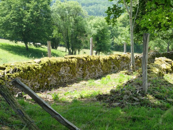 Rurey : Un vieux murgé