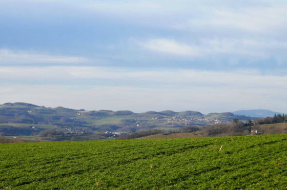 Saint André la Côte