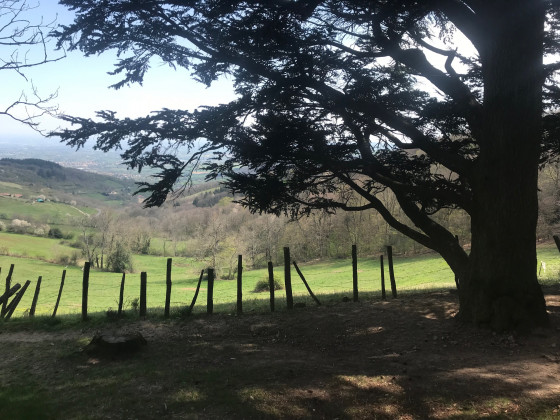Saint Bonnet le Froid