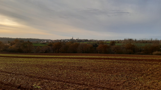 Saint Crépin