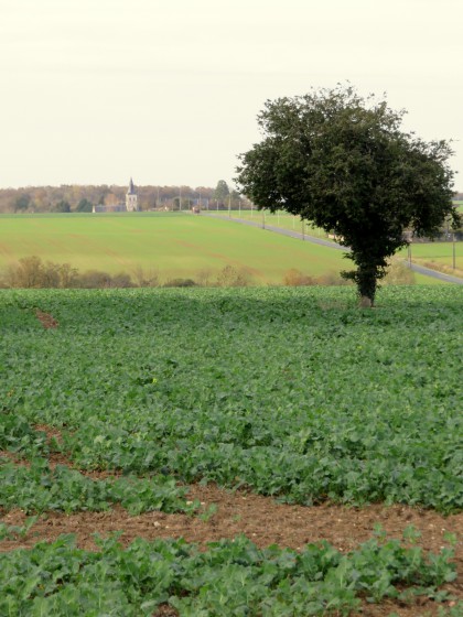 Saint-Lactencin par la D76