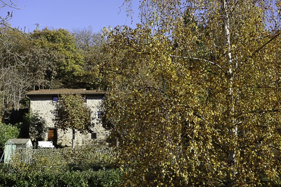 Saint-Laurent-de-Vaux