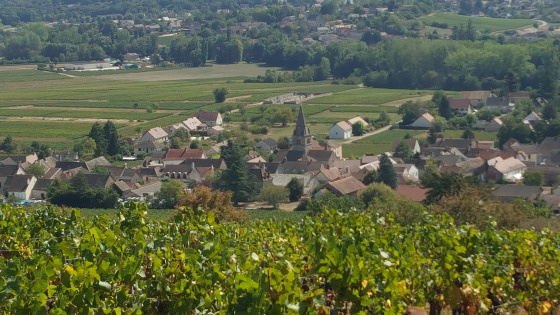 Saint Martin sous Montaigu