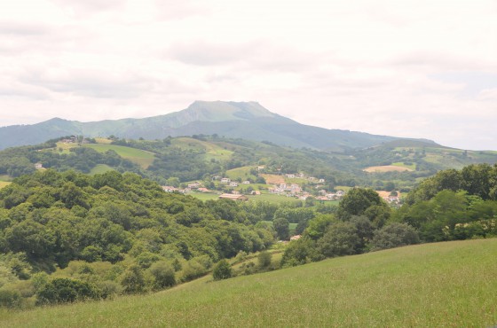 Saint P&eacute;e sur Nivelle