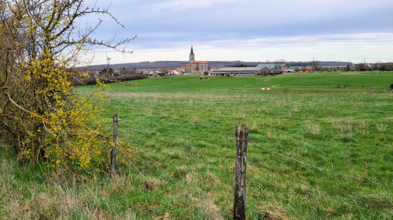 Saizerais au loin