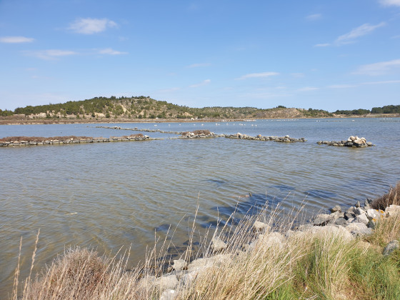 Saline de Peyriac de mer