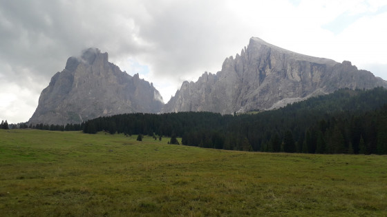 Saltria