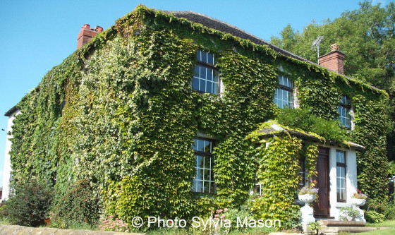 Maison de Samuel Hunt