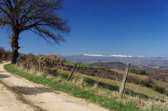 Sancy