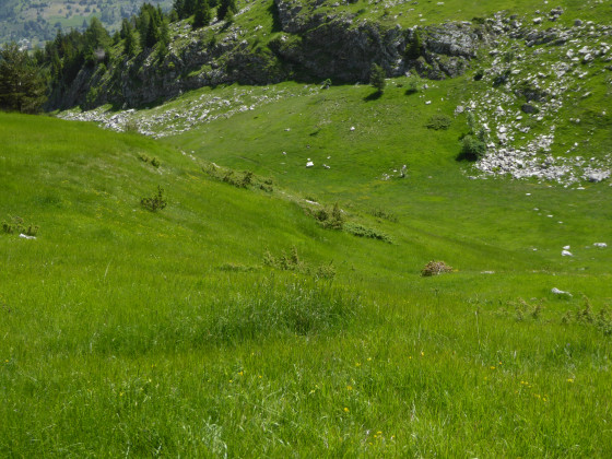 Sans chemin