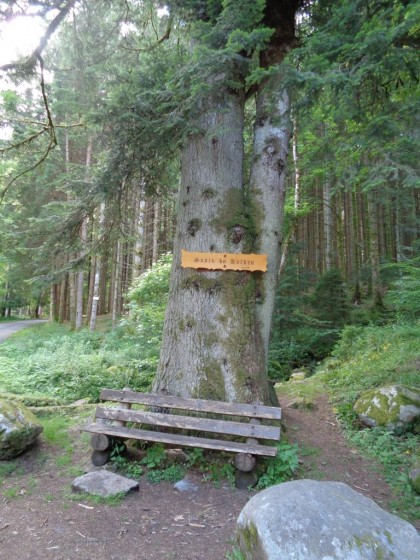Sapin du Kolben