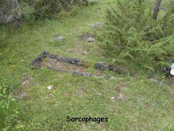 sarcophage