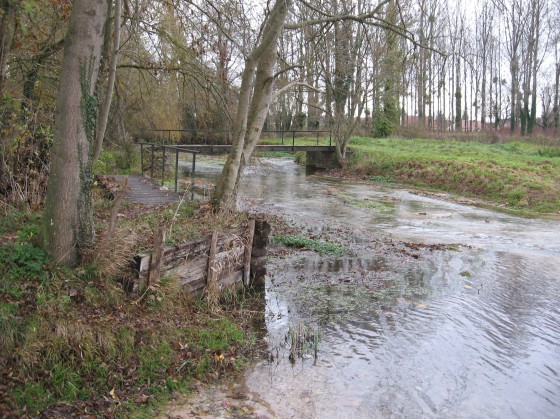 Savigny-en-Septaine.