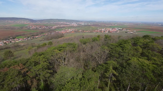Scharrachbergheim