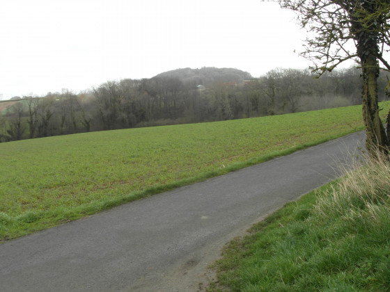 Scherpenberg