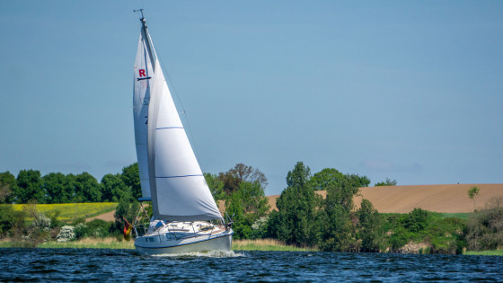 Rives de la Schlei